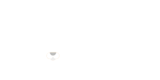 PNS Logo white